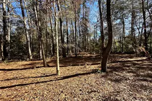 178 Alex Ct, Livingston, TX 77351 - Photo 30