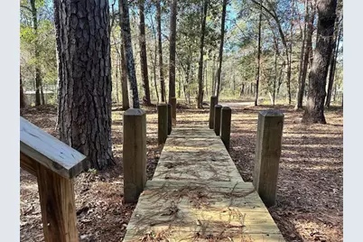 178 Alex Court, Livingston, TX 77351 - Photo 8