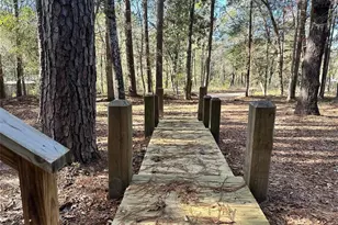 178 Alex Ct, Livingston, TX 77351 - Photo 8