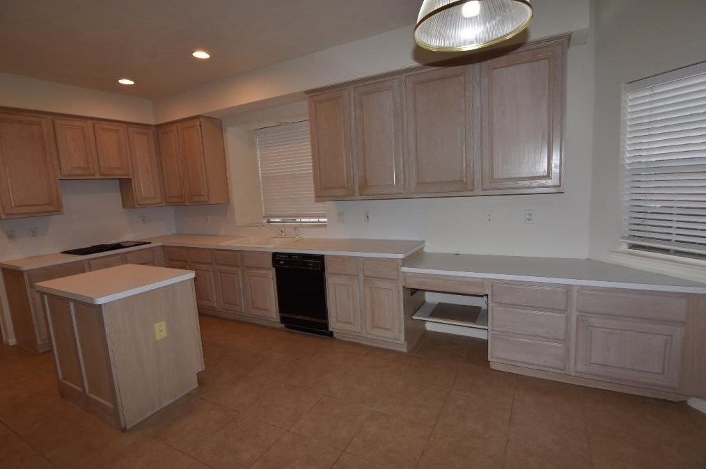 19202 Cypress Estates Ct, Spring TX  77388-8949 exterior