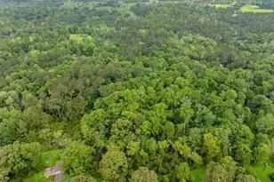 17960 Dogwood Dr, Conroe, TX 77303 - Photo 16