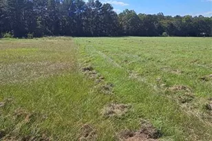 Tbd Hawthorne Road N, New Waverly, TX 77358 - Photo 1