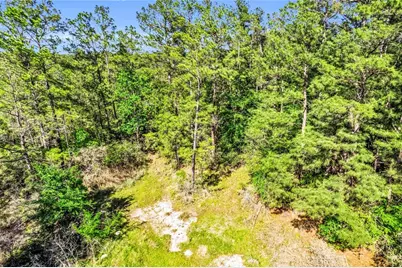 0 Pine Lane, Onalaska, TX 77360 - Photo 4