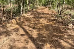 Tbd Private Road 8327, Woodville, TX 75979 - Photo 1