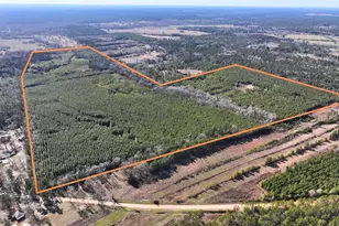 0 Kittrell Rd, Oakhurst, TX 77359 - Photo 1