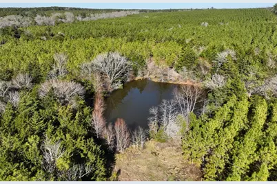 0 Kittrell Road, Oakhurst, TX 77359 - Photo 4