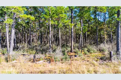 0212 Fm 3459 Road, Onalaska, TX 77360 - Photo 8