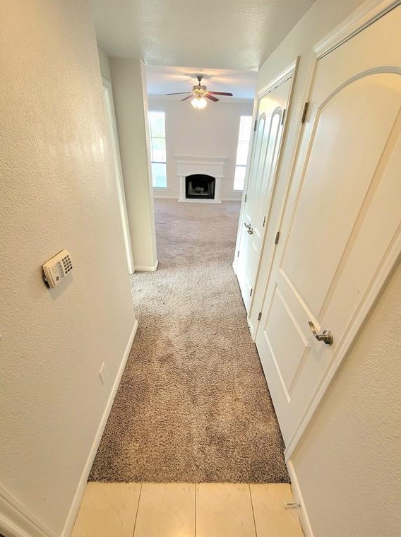 1255 Eldridge Pkwy #211, Houston, TX 77077