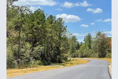 344 Iron Horse Road, Willis, TX 77378 - Photo 12