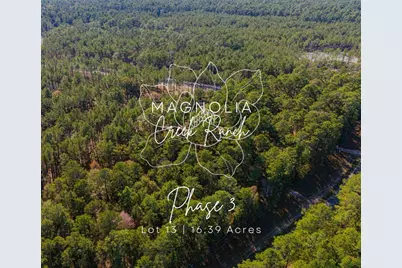 0313 King Ranch Road South, Onalaska, TX 77360 - Photo 1