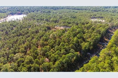 0313 King Ranch Road South, Onalaska, TX 77360 - Photo 16