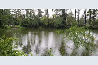 Lots 411 & 412 Big Deer Drive, Crosby, TX 77532 - Photo 6