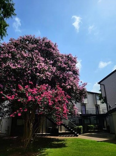 2111 Holly Hall St #2502, Houston, TX 77054