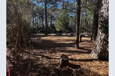 Tbd Lot 41 Cherokee Ln, Waller, TX 77445 - Photo 2
