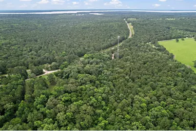 Tbd Ryan Ferry Road, Point Blank, TX 77364 - Photo 30