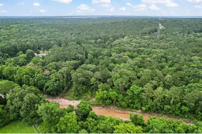 Tbd Ryan Ferry Road, Point Blank, TX 77364 - Photo 34