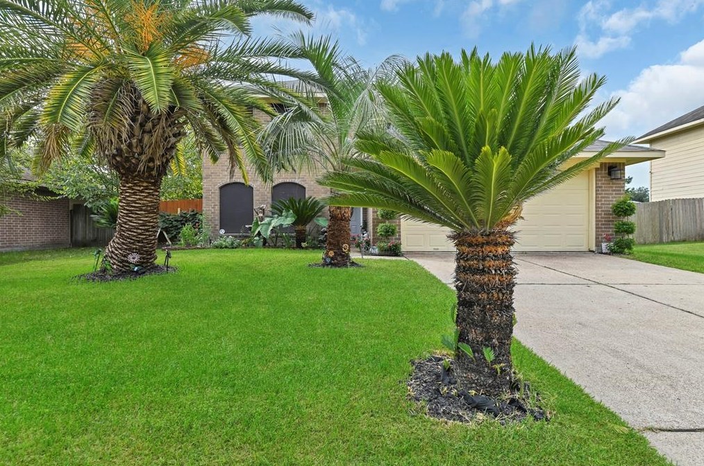 6202 Star Lake Dr, Humble, TX 77396