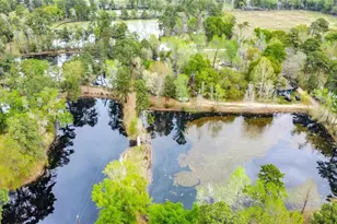 18207 Lark Ln, Conroe, TX 77384 - Photo 6