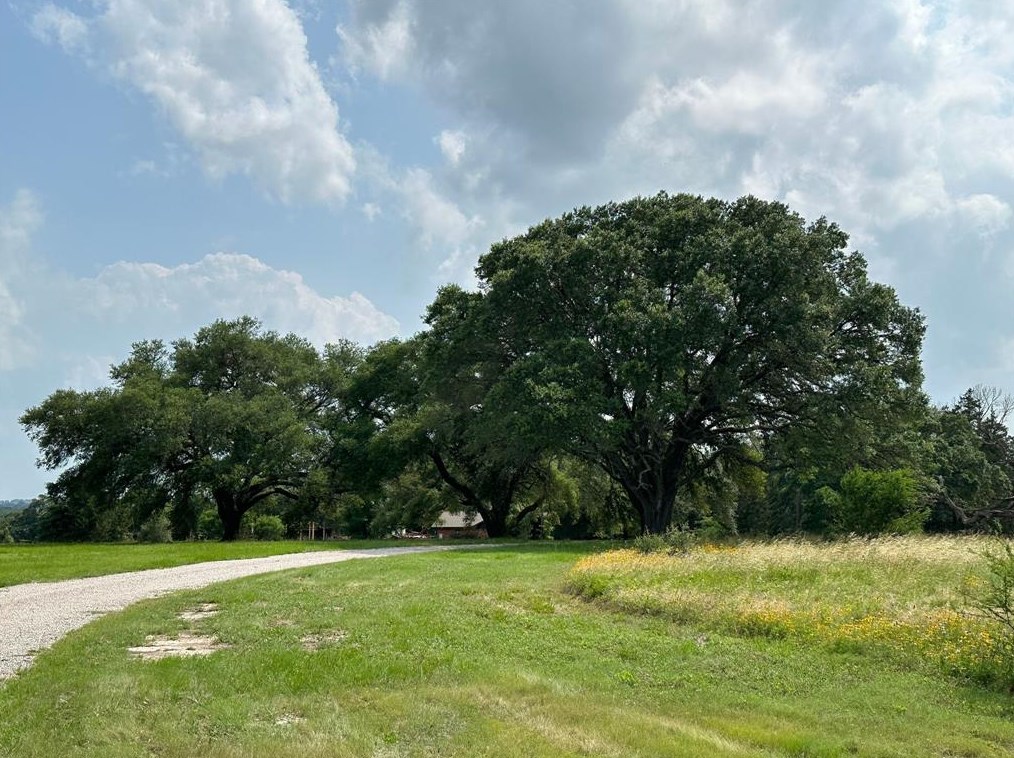955 Geers Rd, Brenham, TX 77833