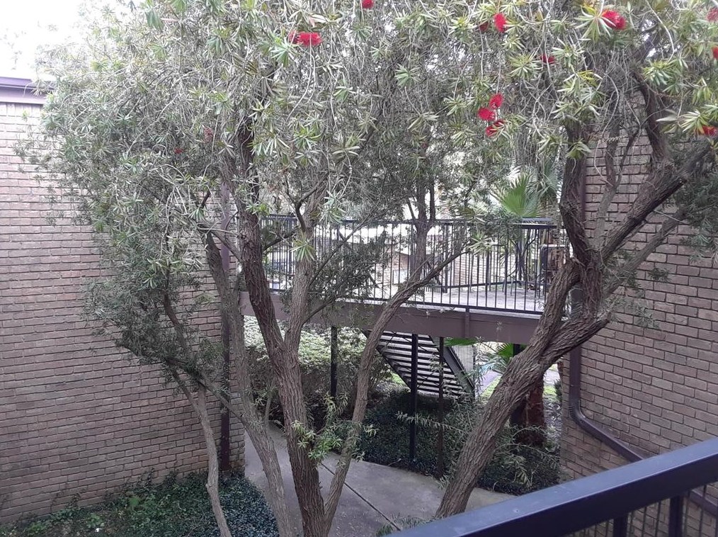 1530 Heights Blvd #21, Houston, TX 77008