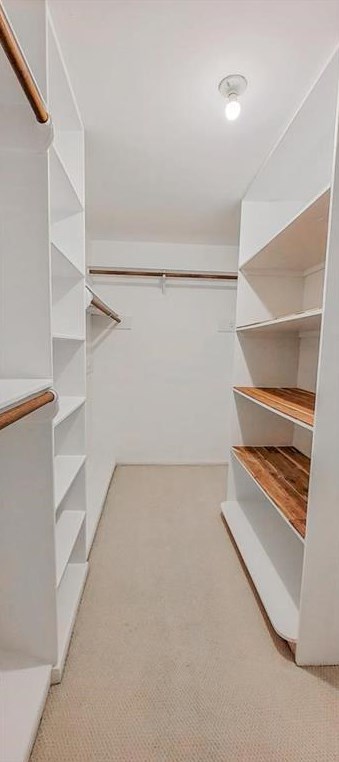 144 Old Brg Lk, Houston TX  77069-3464 exterior