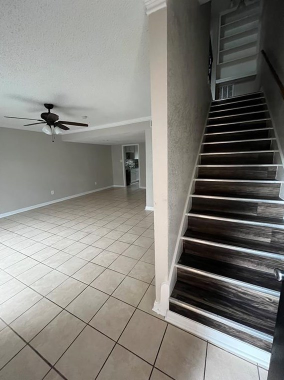 10148 Emnora Ln, Houston TX  77080-5002 exterior