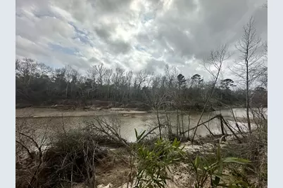 0 Redbud Drive, Conroe, TX 77302 - Photo 10