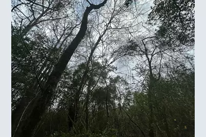 0 Redbud Drive, Conroe, TX 77302 - Photo 12