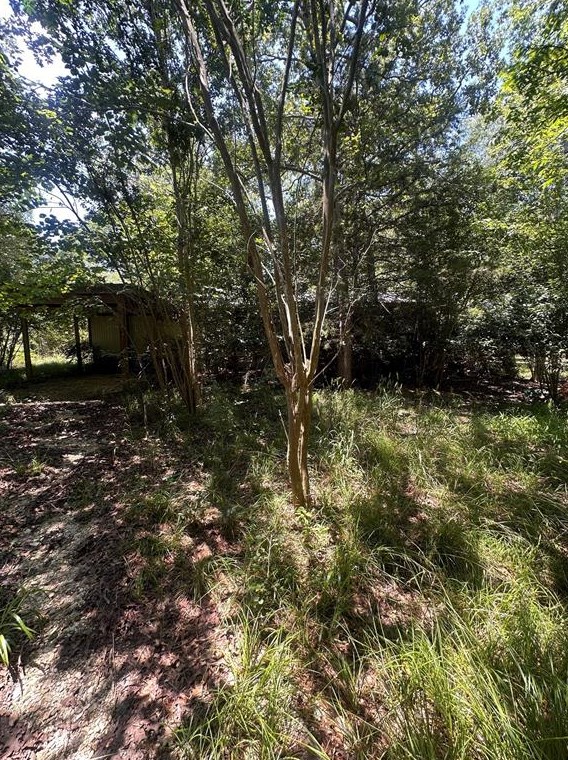 44 Underwood Dr, Huntsville, TX 77340