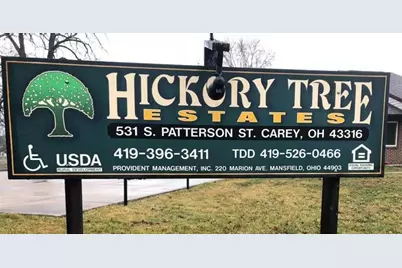 531 S Patterson St, Other, OH 43316 - Photo 4