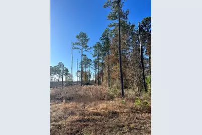 366 County Road 5021, Cleveland, TX 77327 - Photo 2