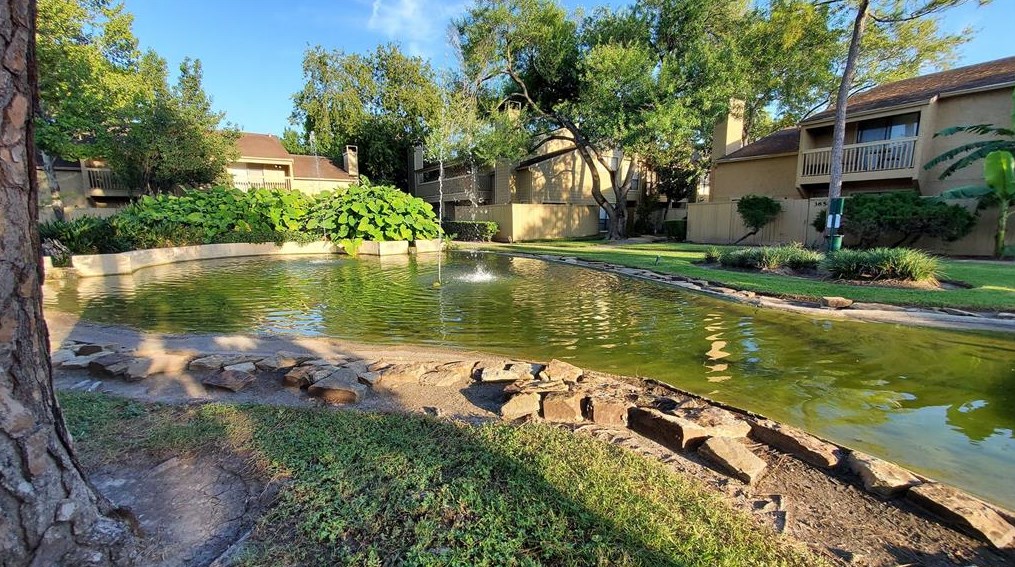 3542 Ocee St, Houston TX  77063-5418 exterior