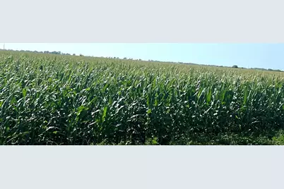 00 County Road 403, El Campo, TX 77437 - Photo 6