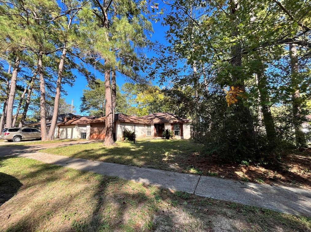 17206 Northchapel St, Spring, TX 77379-3875
