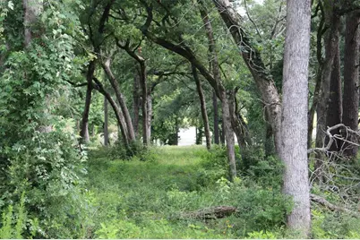 Tract 153 Private Road 1311, Centerville, TX 75833 - Photo 14