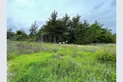 4431 Hampshire Lane, Franklin, TX 77856 - Photo 6