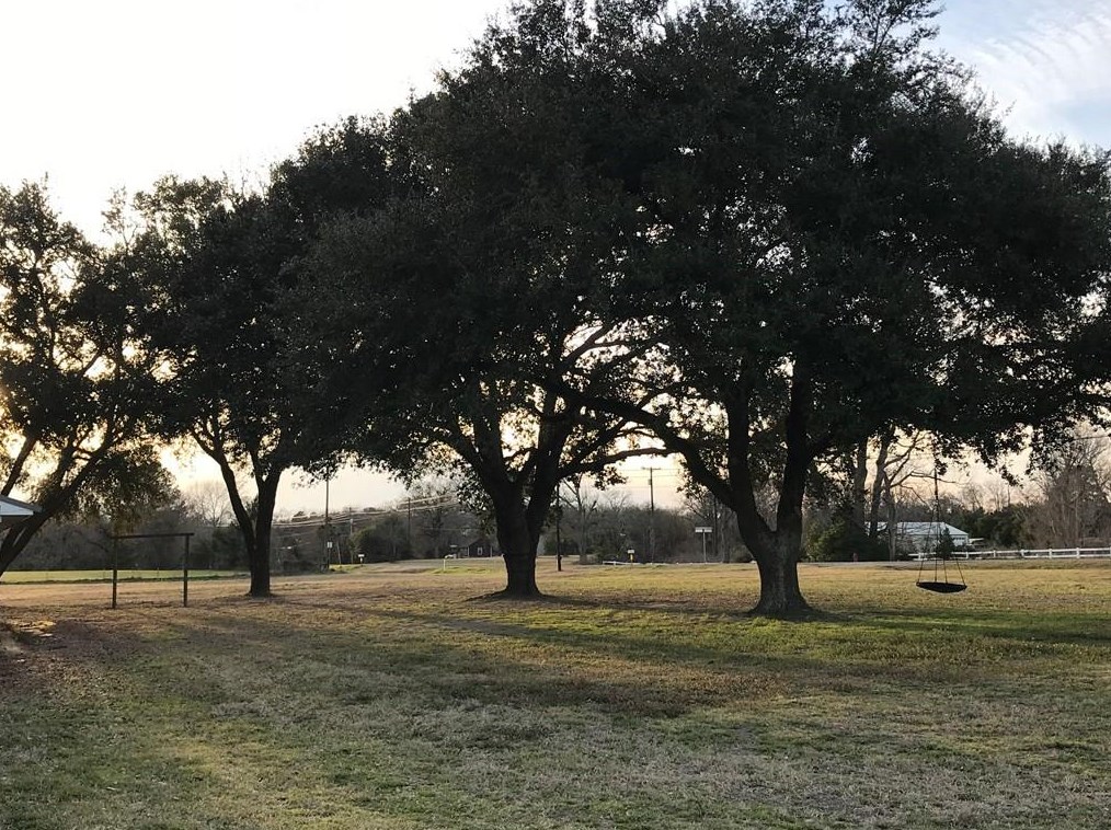 608 Fm 228, Denson Spring, TX 75844-4935
