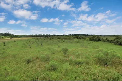 0000 Jobe Wilson Road, Anahuac, TX 77514 - Photo 4