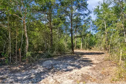 Tbd Tx-159, Fayetteville, TX 78940 - Photo 4