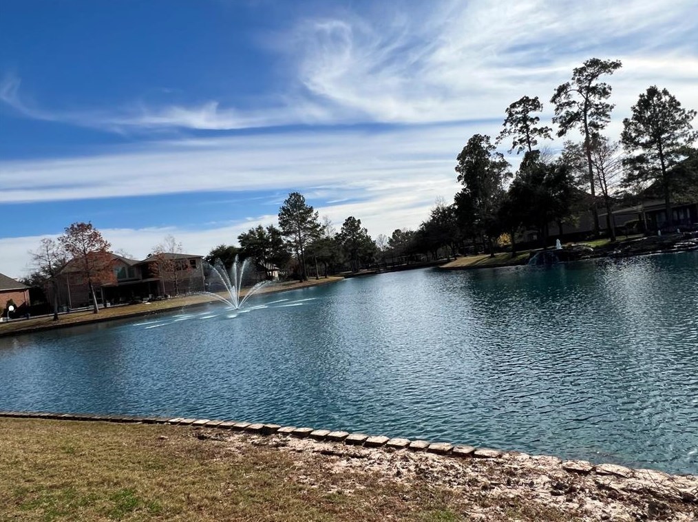 18726 Arlan Lake Dr, Spring TX  77388-2000 exterior