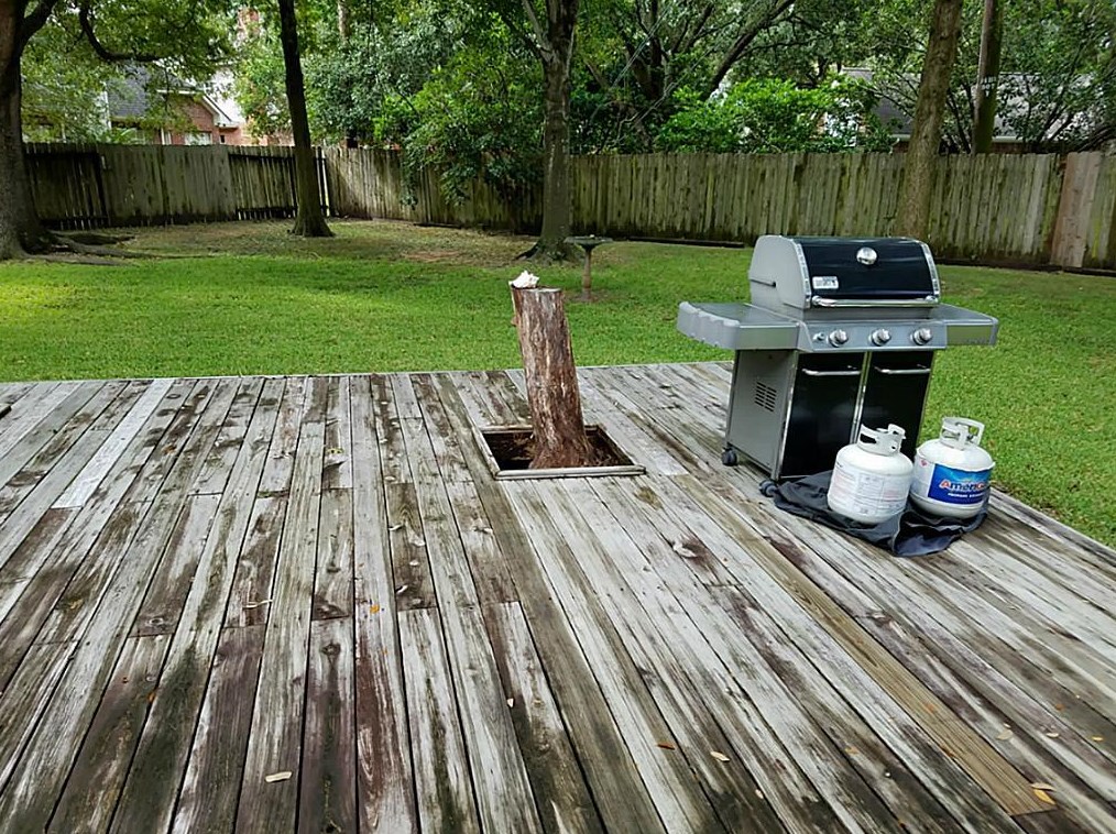 14402 Circlewood Way, Houston TX  77062-2276 exterior