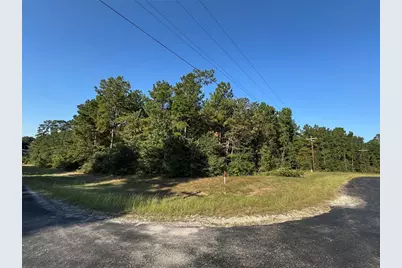 1-1-51 Saddle Ridge Drive, Huntsville, TX 77340 - Photo 14