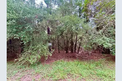 Tbd Parkview Drive, Onalaska, TX 77360 - Photo 2