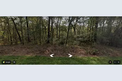 Tbd Smith Street, Coldspring, TX 77331 - Photo 2