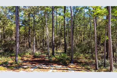 032 King Ranch Road S, Onalaska, TX 77360 - Photo 10