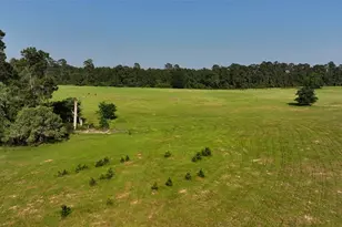 2268 S Fm 1486, Montgomery, TX 77316 - Photo 20