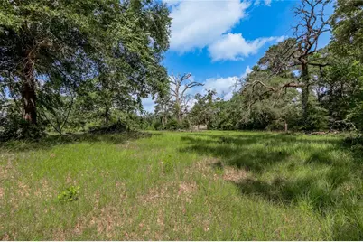 Lot 3 Tara Drive, Trinity, TX 75862 - Photo 12
