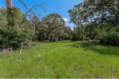 Lot 3 Tara Drive, Trinity, TX 75862 - Photo 10