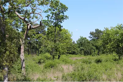 Tr 53 Pr 1315 Road, Centerville, TX 75833 - Photo 8