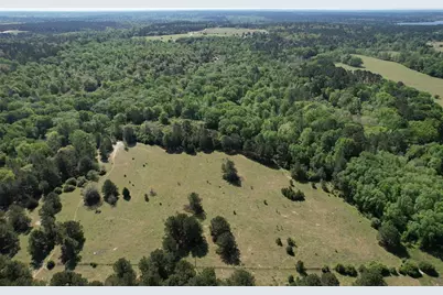 2954 County Road 2170, Grapeland, TX 75844 - Photo 1